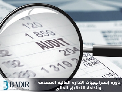 إستراتيجيات الإدارة المالية المتقدمة وأنظمة التدقيق المالي