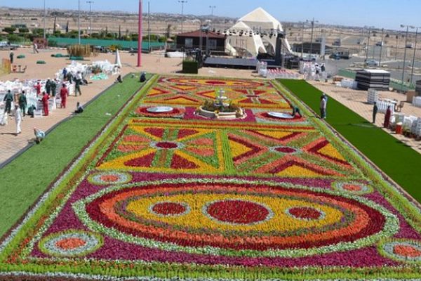 الرياض